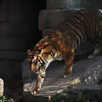 Zoo Barcelona 21-01-12 952