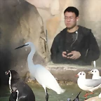 Zoo Barcelona 21-01-12 356