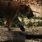 Zoo Barcelona 21-01-12 949