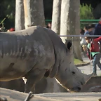 Zoo Barcelona 21-01-12 572