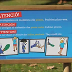 Zoo Barcelona 21-01-12 821