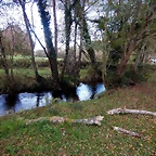 DSCN0563