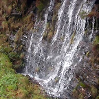 DSCN7152