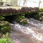 DSCN1107