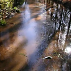 DSCN1135