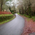 DSCN1163