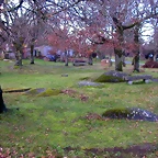 DSCN1121