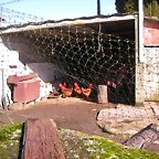 DSCN1180
