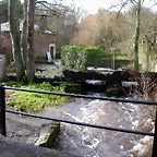 DSCN1102