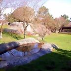 DSCN1128