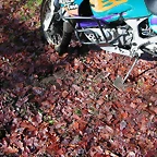 DSCN1139