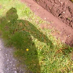 DSCN1150