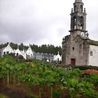 DSCN1153