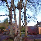 DSCN1124