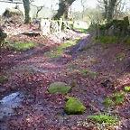 DSCN1137