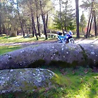 DSCN1131