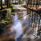 DSCN1136