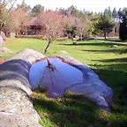 DSCN1130