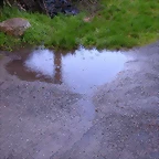 DSCN1118