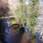 DSCN1175