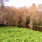 DSCN1104