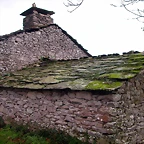 DSCN1157