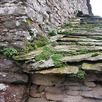 DSCN1158