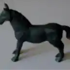 caballo tito portugal sus737 2