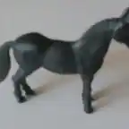 caballo tito portugal sus737 3