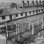 auschwitz1