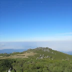 IMG_4410