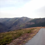 DSCN4974