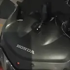 metraquilato pintado 2