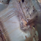 moto_0985