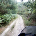 DSCN4429