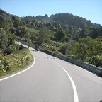 DSCN7771
