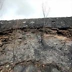 DSCN8371