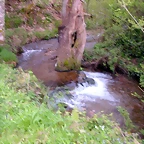 DSCN9186