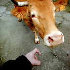 DSCN4919
