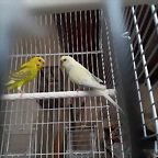 20180922_160630
