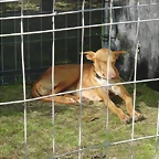 CIMG0482_a