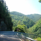 DSCN3646