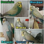 FB_IMG_1495370284614