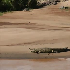 Johannesburg Kruger març 2009 1005
