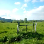 DSCN6241
