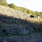 DSCN6471