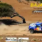 cartel baja