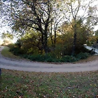 DSCN8606