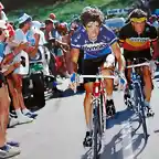 Perico-Tour1983-Van Impe2