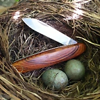 Huevos